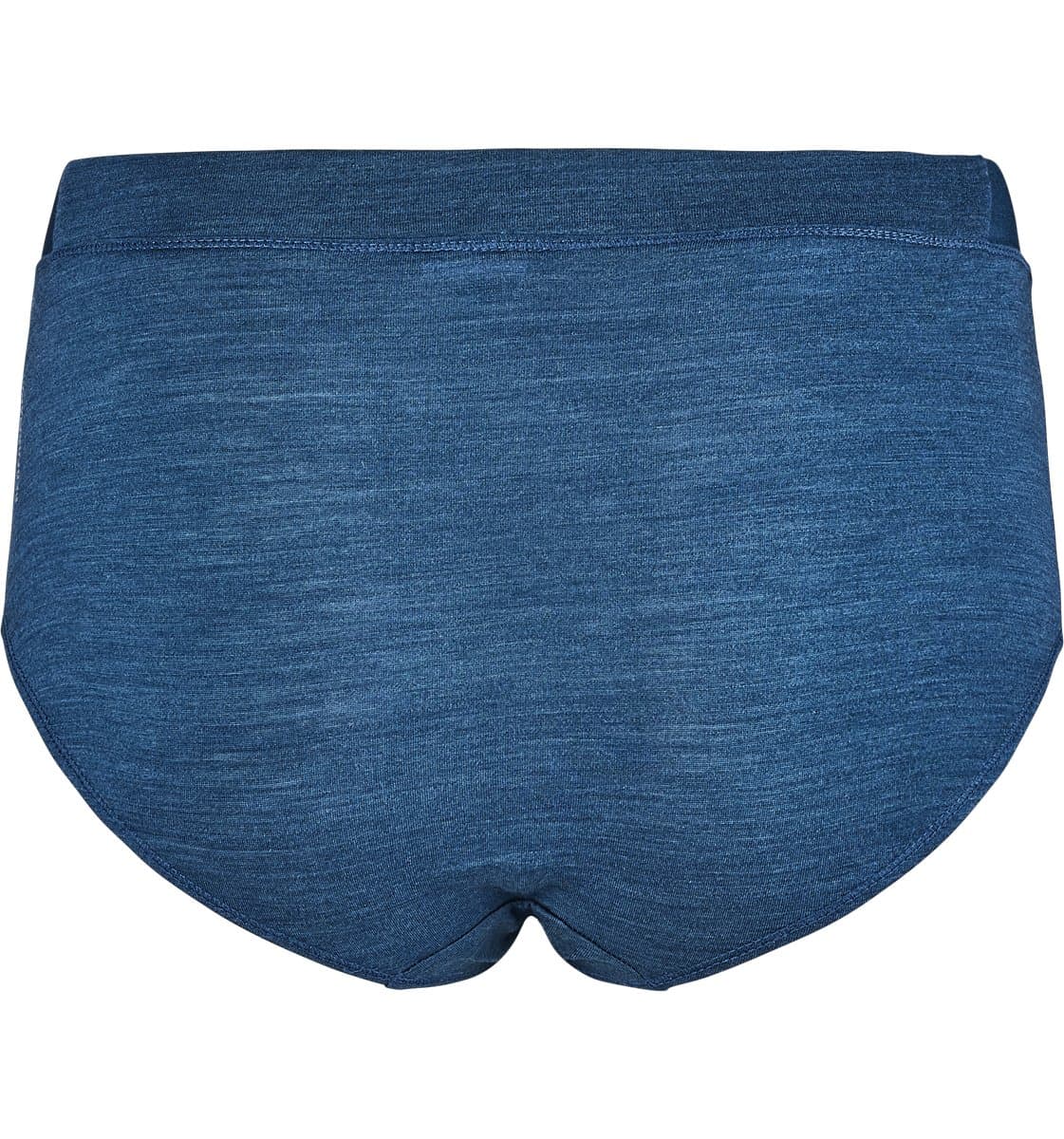 Naiste meriino aluspüksid Natural Performance Wool 130 Panty