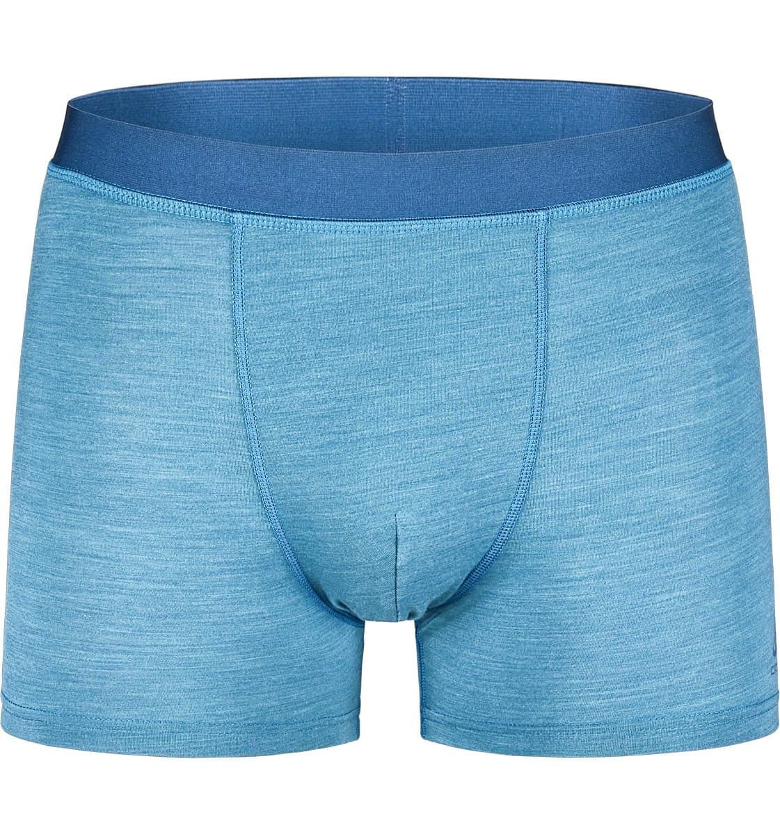 Meeste meriino aluspüksid Natural Performance Wool 130 Boxer
