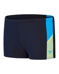 Speedo poiste ujumispüksid Dive Aquashort