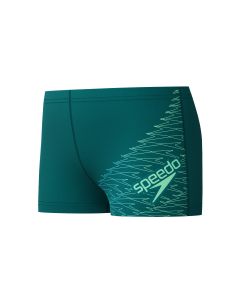 Speedo poiste ujumispüksid Medley Logo Aquashort