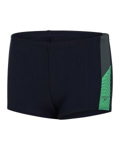 Speedo poiste ujumispüksid Dive Aquashorts